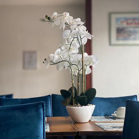Hotel Le Pasteur Royan Eksteriør billede